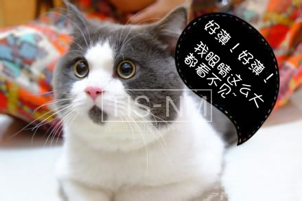 20171030134723909.jpg 3.jpg