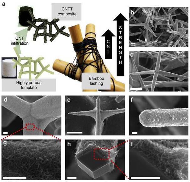 20180802142224563.jpg Nature Communications:分層自糾纏碳納米管網(wǎng)絡(luò)
