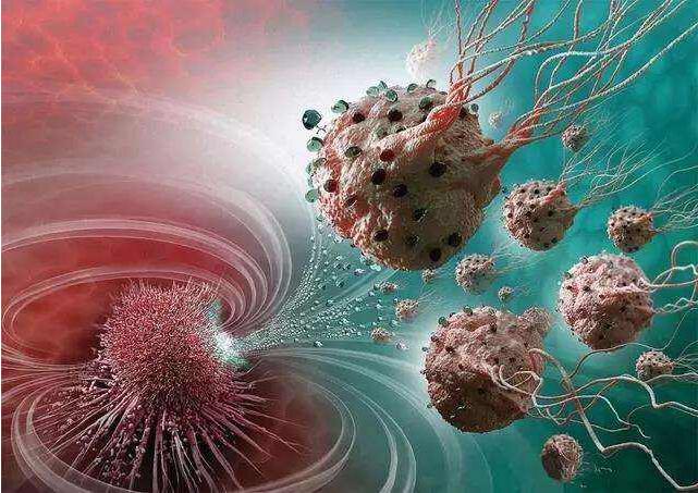 趨磁細(xì)菌具有使用稱為磁小體的小納米晶體鏈來感知微小磁場的非凡能力 趨磁細(xì)菌具有使用稱為磁小體的小納米晶體鏈來感知微小磁場的非凡能力